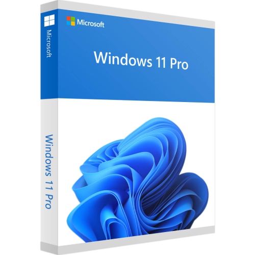 Windows 11 Pro Download