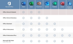 Microsoft Office 2019 Professional für PC ESD